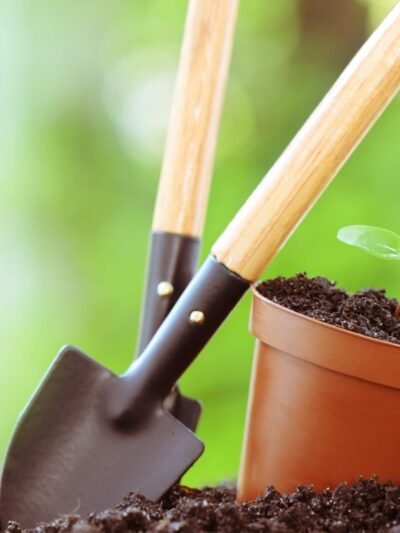 Gardening, Landscaping